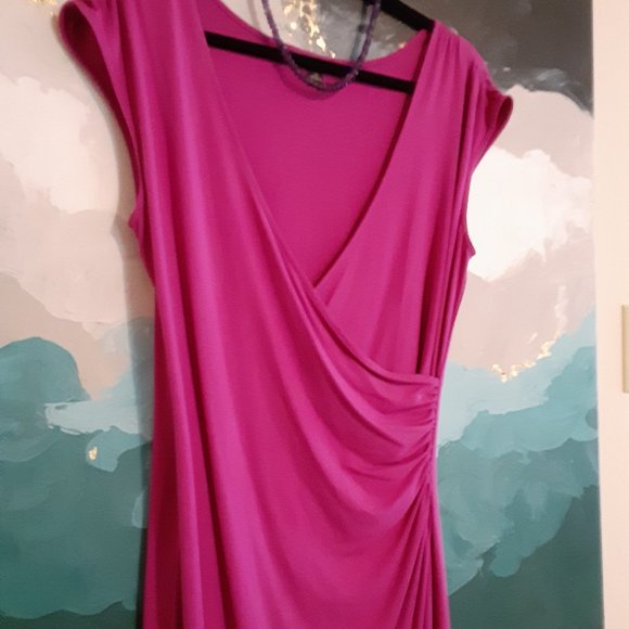 COPY - Ann Taylor dress, magenta, size M. - Picture 2 of 5